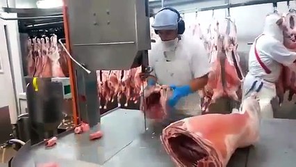 CARNICERO NIVEL DIOS