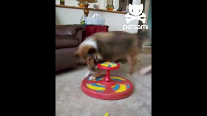 ᴴᴰ Tchoupi ► Compilation De Tchoupi et Doudou En Français HD 201
E0
 T'choupi et DouDou