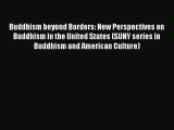 Download Buddhism beyond Borders: New Perspectives on Buddhism in the United States (SUNY series