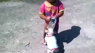 funny baby with dog most wast