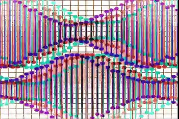 Music Video Generator: CODEX - Pro Skater 99 (World Music 720p)