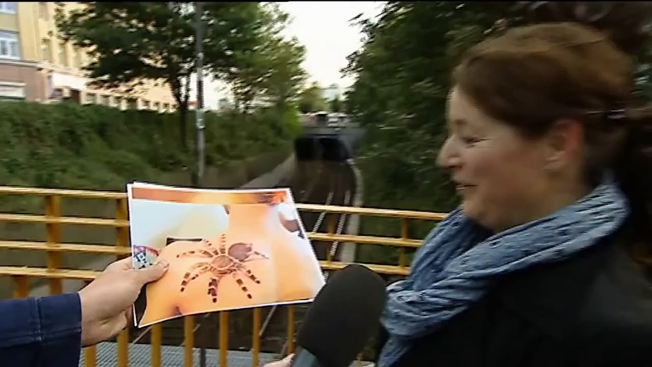 3D Tattoos Neuer Trend | taff classics | ProSieben