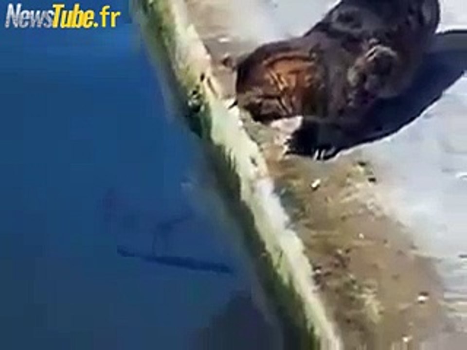 Cette pêche une vitesse incroyable