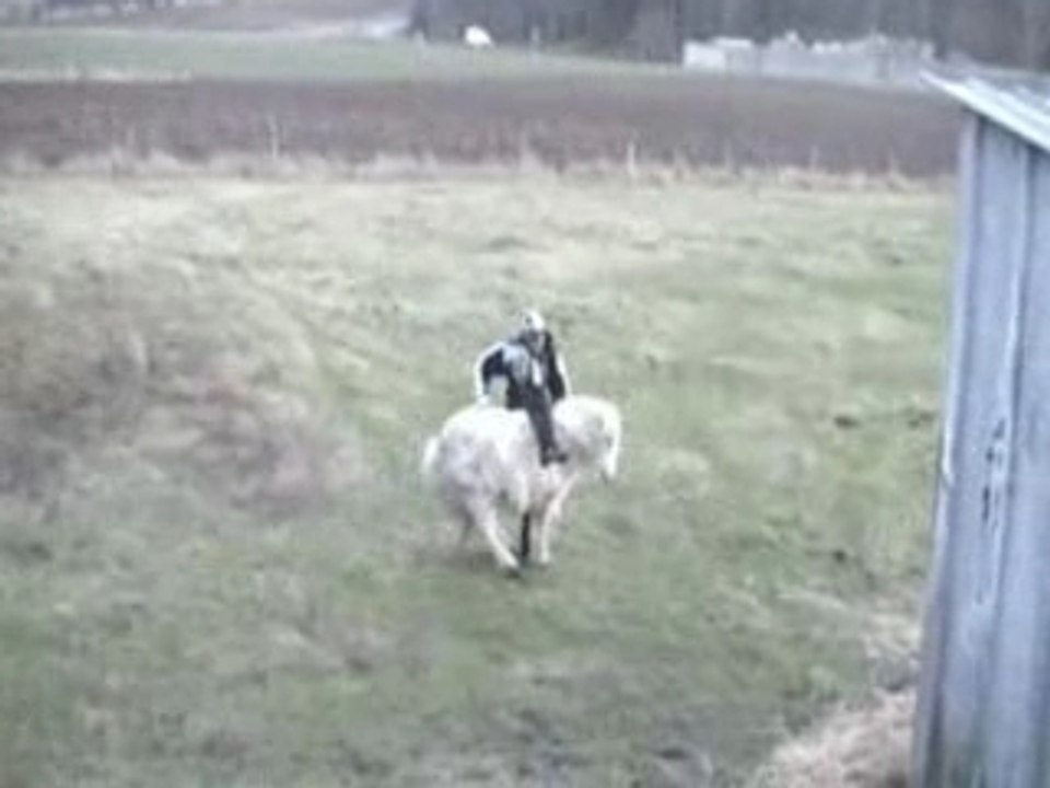 Clement feat poney
