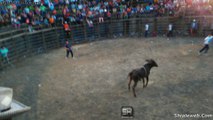 JARIPEO RANCHERO GRACIOSO CON MUCHO HUMOR LOS AFICIONADOS JUEGAN FUTBOL CON UNA VAQUILLA DE GANADERIA LOCAL MARZO 2016