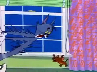 ทอมแอนเจอร์รี่ ใครคือทอมกันแน่-