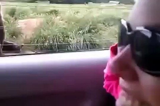 ПРИВЕТ Медведь!