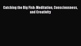 Read Catching the Big Fish: Meditation Consciousness and Creativity Ebook Free