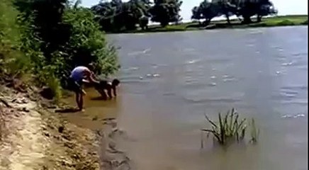 Сазан летом