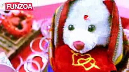 (WapNor.com)Ek Husband Chahiye- Funny Song About Bride Looking For A Groom(WapNor.com)