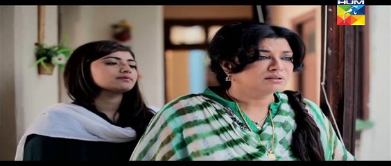 Zindagi Tujh Ko Jiya Episode 14 on HUM TV - 15th March 2016