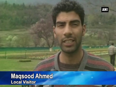 Srinagar Tulip Garden thrown open for public