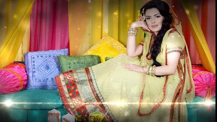 Pakistani Wedding Highlights Punjabi couple, 2016