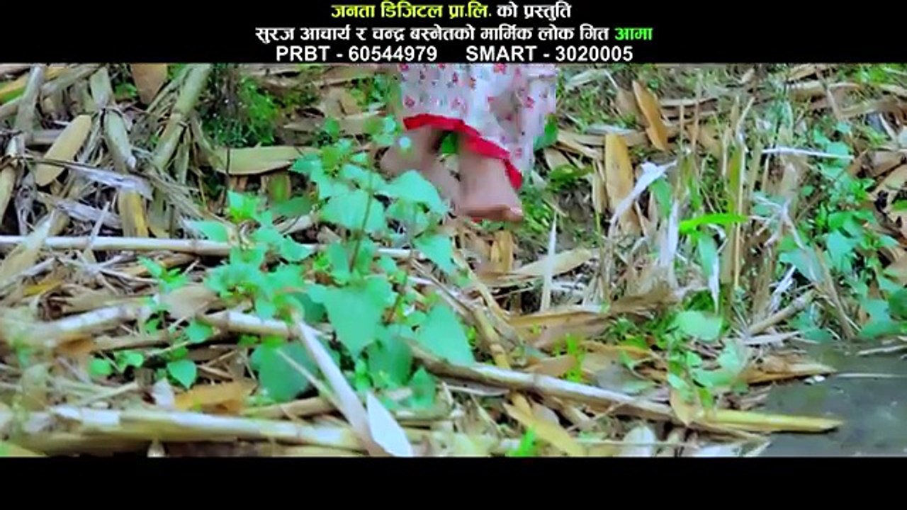 AAMA | New Nepali Lok Song 2016 | Suraj Acharya, Chandra Basnet | Janata Digital (FULL HD)