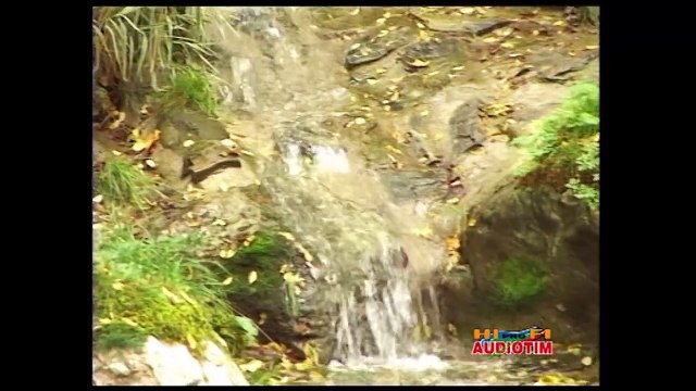 nou 2016 Petrica Matu Stoian La fantana din poarta