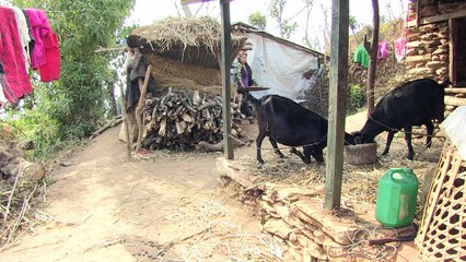 Atrapadas en Siria por traficantes de personas