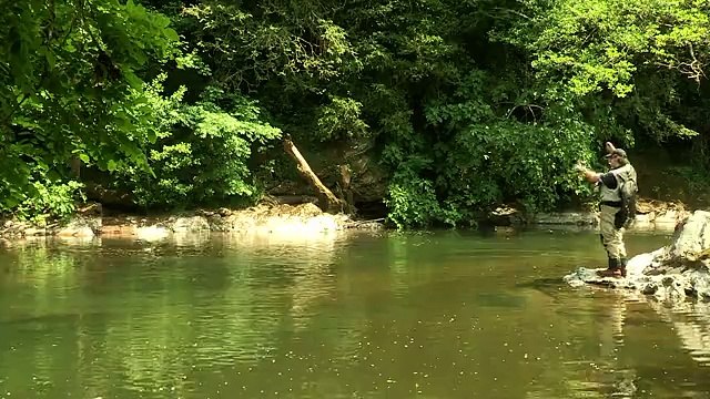 Akar Suda Benekli Alabalık Avı