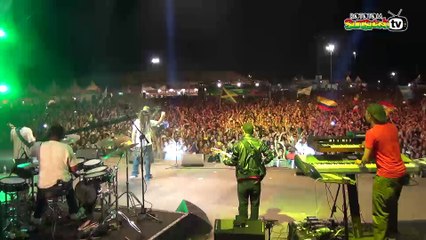 ALBOROSIE live @ Main Stage 2013