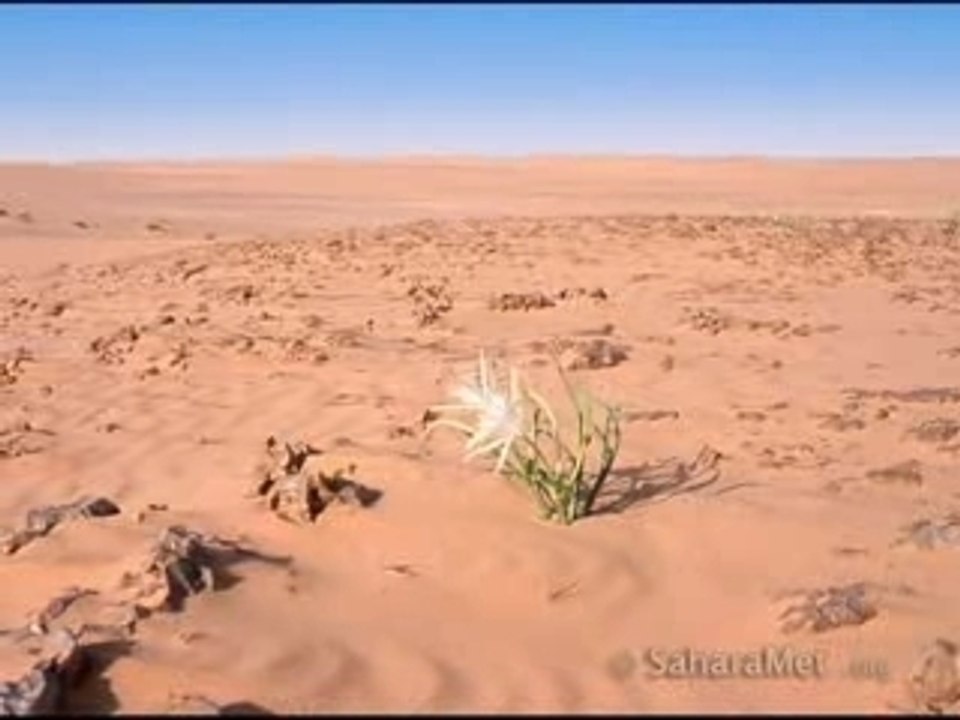 Loose ends - Ooh, You Make Me Feel