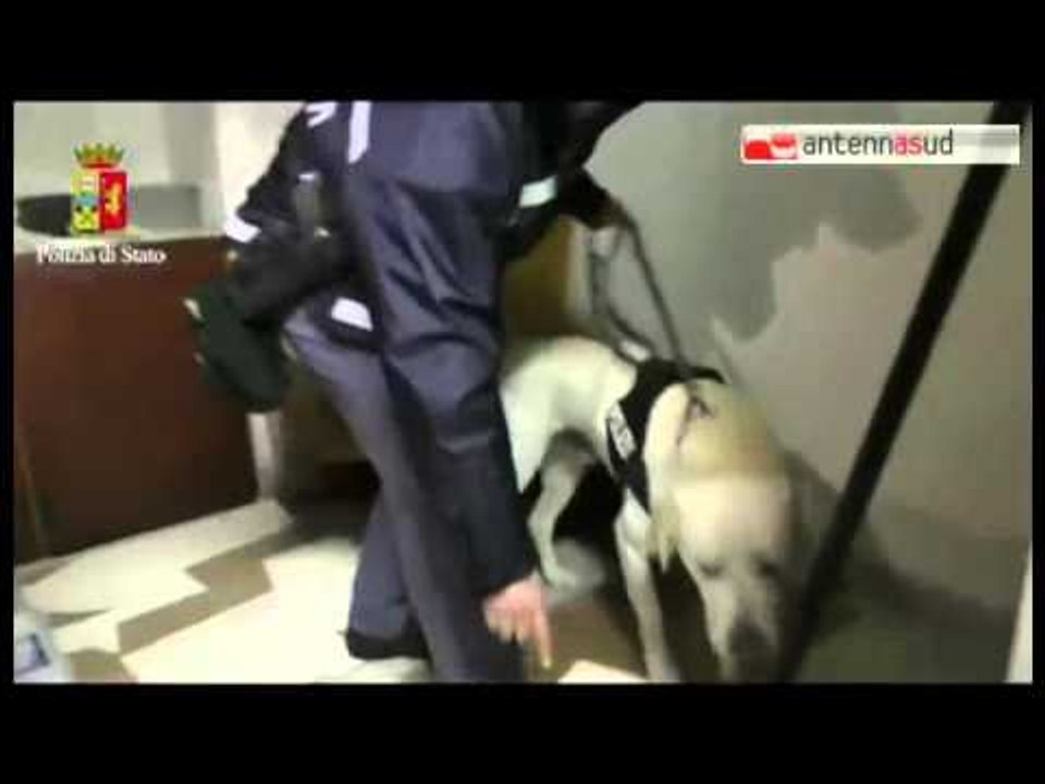 Tg Antenna Sud - Duro colpo al clan Parisi, 23 arresti