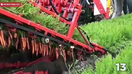 25 amazing tricks must watch