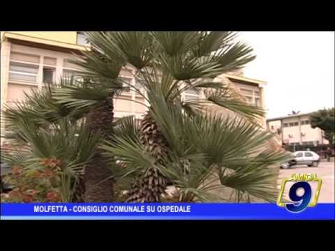Molfetta | Consiglio Comunale su ospedale