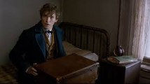 Fantastic Beasts and Where to Find Them FullMovie