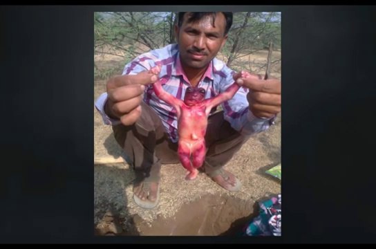 ШОКИРУЮЩАЯ НАХОДКА!!! ИНОПЛАНЕТЯНЕ ВИДЕО. В Индии мужчина нашел «младенца инопланетянина»