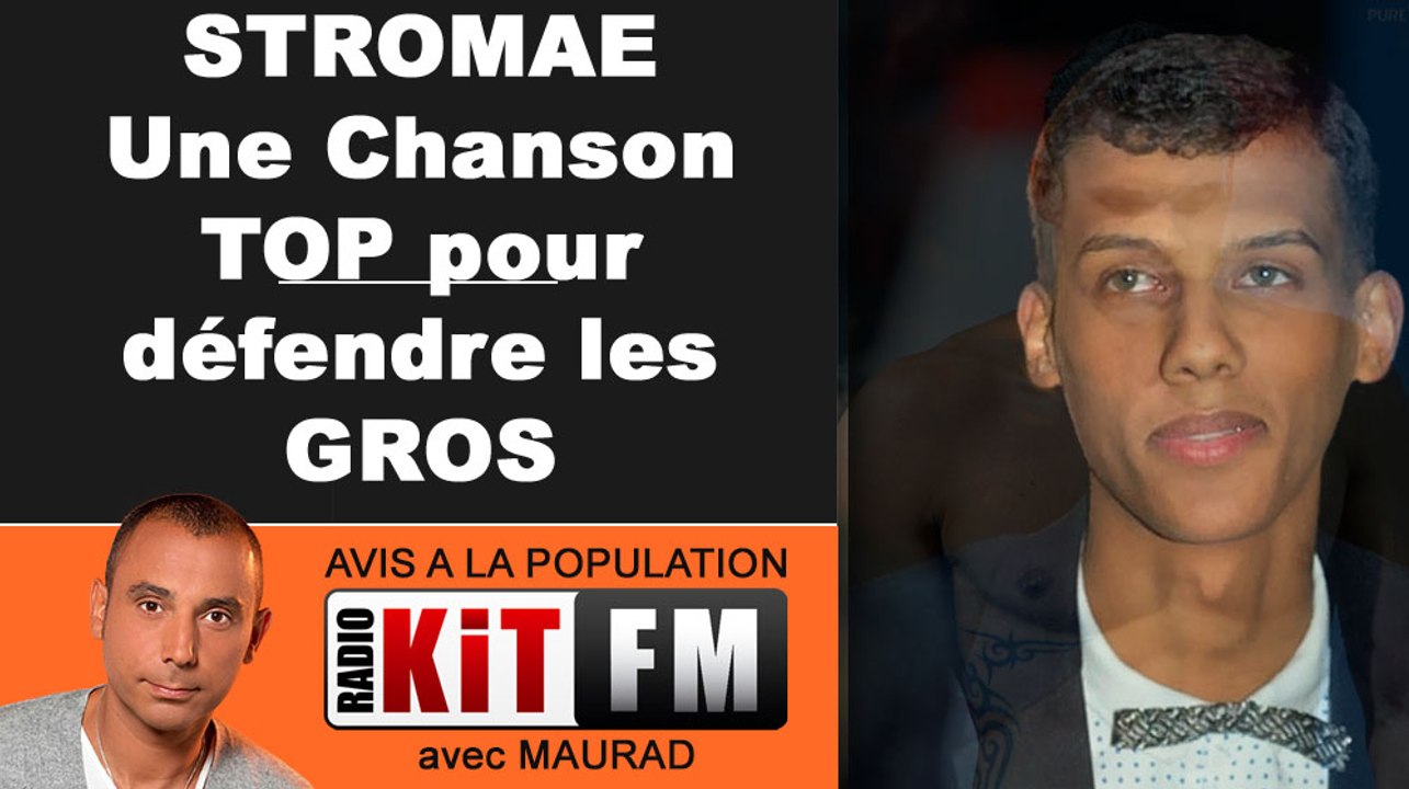 STROMAE : UNE CHANSON QUI PREND LA DEFENSE DES GROS