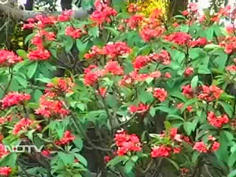 Amazing culinary delights of Bangalore _ Taste Match