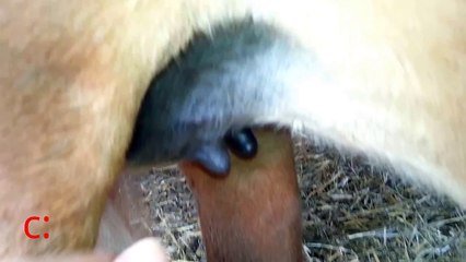 ~udderly wonderful map part c: