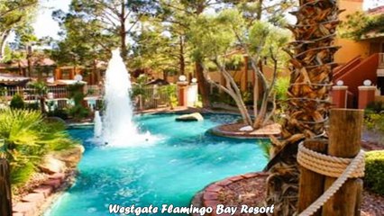 Скачать видео: Hotels in Las Vegas Westgate Flamingo Bay Resort Nevada