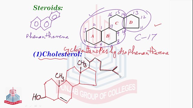 Steroids , Classification & Importance of Lipids