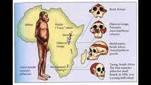 Doodle Google Honores Lucy la evolución Australopithecus de simios a humanos bípedos