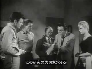 キラー・シュルーズ 4