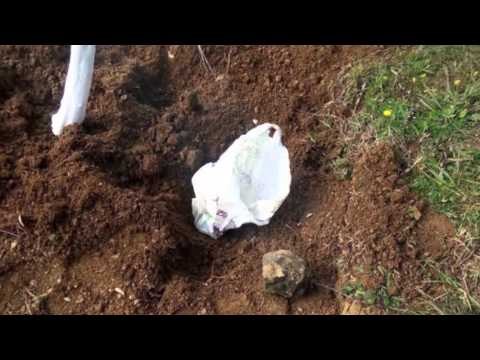 Report TV - Hynë për të vjedhur e vranë pronarin, si u inskenua ngjarja