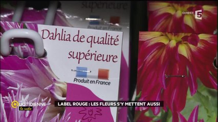 Label Rouge : les fleurs s'y mettent aussi !