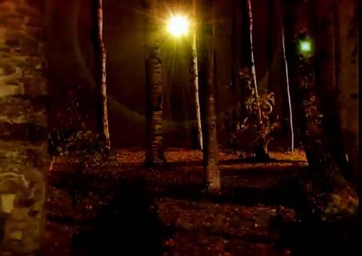 Народная медицина. Чай Берендеев лес. Реклама