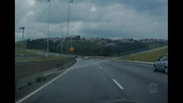 SP: Criminosos atiram pedras contra veículos no Rodoanel