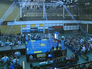 DO POBEDE 4 Novi Sad 2015