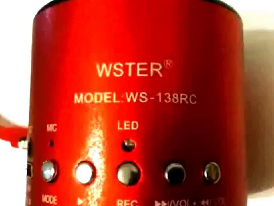 Mini Speaker WESTER WS 138RC USB SD CARD FM Radio whit Sound Test TheSDC44