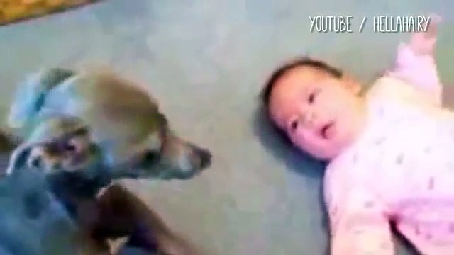 Il bimbo fa i capricci ma ecco che arriva il cane e sistema tutto....