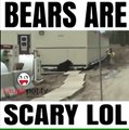 Bears Are Scary Funny Clips 2016