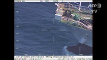 Argentine coast guard sinks Chinese fishing boat