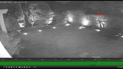 Villanın Köpeğini de Çalan Hırsızlar Yakalandı