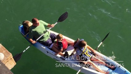 Une otarie vient squatter sur le canoë de cette famille. Adorable...