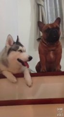 ดู เชอบัว ยูโร มายา ตอนที่ 6 ใครจะไปเที่ยวบ้าง