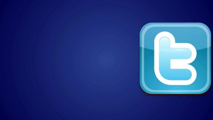 Twitter Marketing and Advertising Service