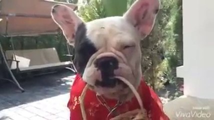 ดู เชอบัว ยูโร มายา ตอนที่ 56 ตังค์ก็ไม่ได้ซักบาท