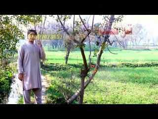 Pashto New Song HD 2016 Razya Azlzl Saida Gull Maina